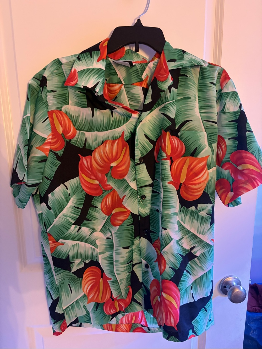 Hilo Hattie Men's Hawaiian  Floral Button-Up Shirt in Green & Red